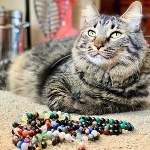 " Paw-Picked" Bracelets By Ramsey